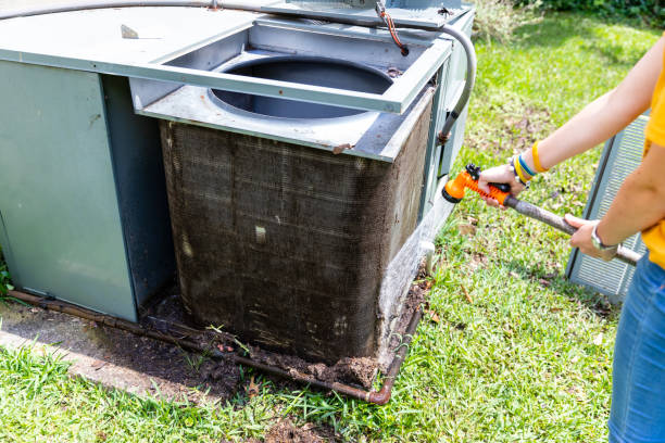 HVAC System Cleaning in LA